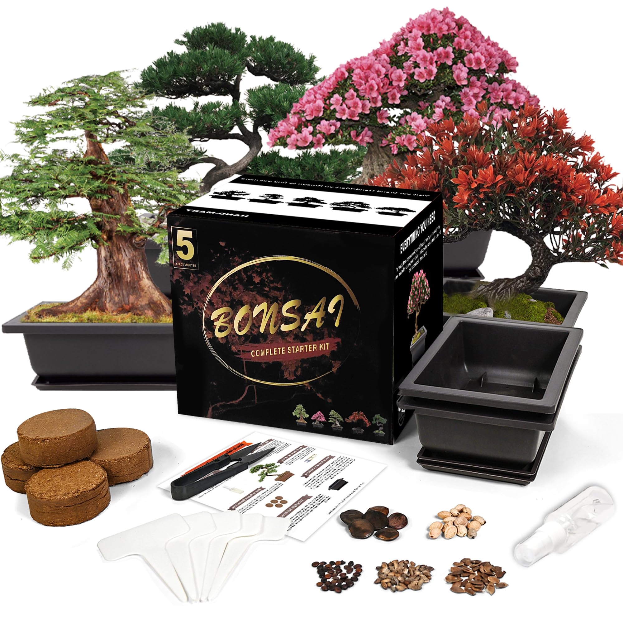 Starter kit per bonsai, 5 semi che crescono in abete blu, bosso cinese, sequoia alba, albero di fiamma e albero di Giuda, con attrezzi da giardinaggio completi con scatola regalo, regali di