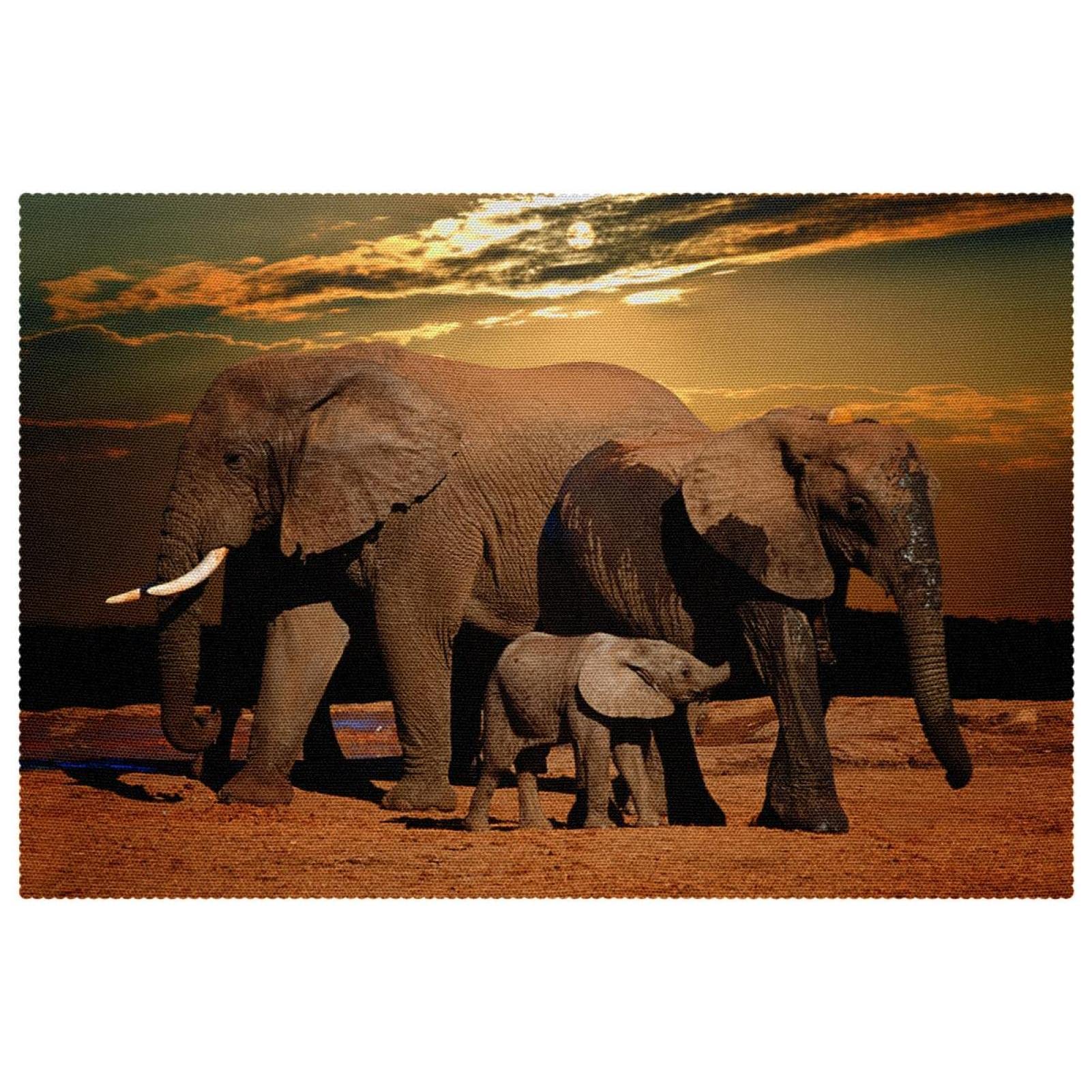 Set de table éléphant africain fini les tables abîmées lot de 6