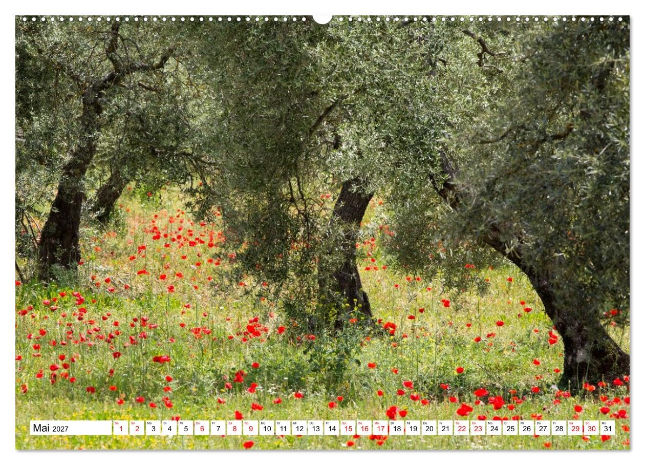 Momente einer Reise - Andalusien (hochwertiger Premium Wandkalender 2027 DIN A2 quer), Kunstdruck in Hochglanz: Die wohl schönste Provinz Spaniens (CALVENDO Orte)