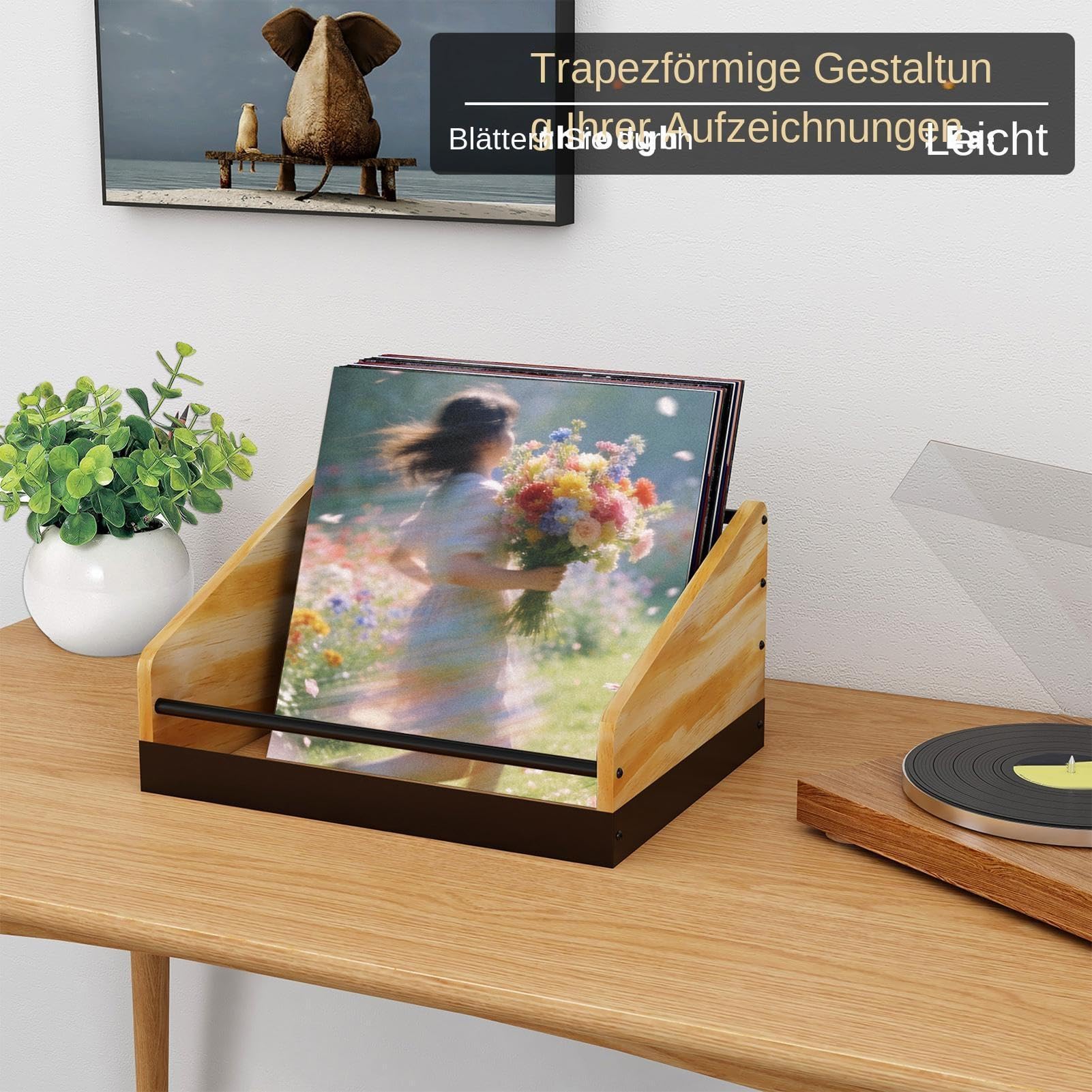 Supporto per Vinili Capiente e Moderno Espositore | Espositore per LP per File Snack Giocattoli Casa Camera Soggiorno Appartamento Ufficio Negozio Scrivania Scaffale Tavolo
