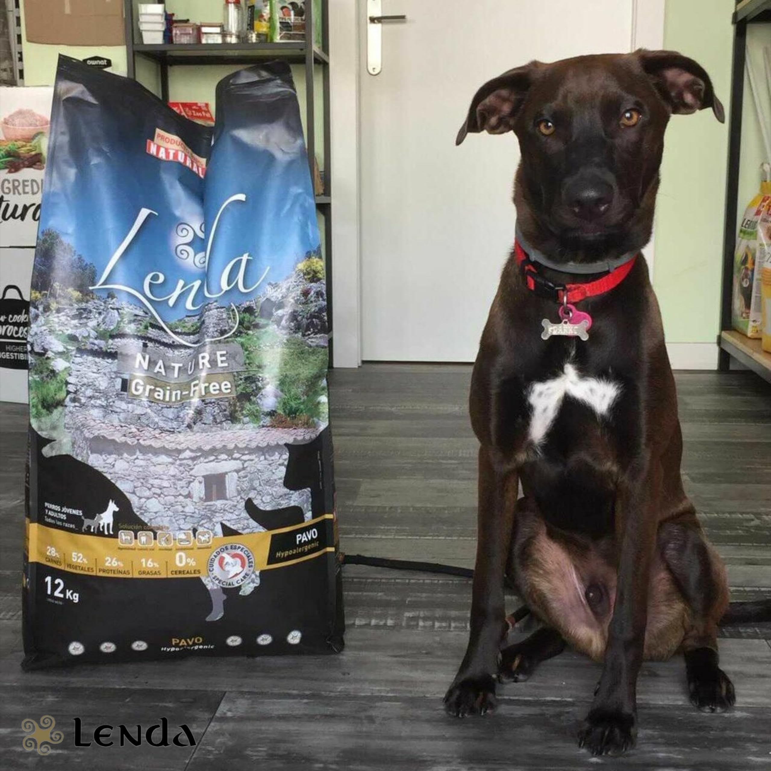Lenda Pavo 12Kg - Pienso Hipoalergénico para Perros Jóvenes y Adultos con Alergias o Intolerancias | Comida para Perros Rica en Pavo | Pienso para Perro Natural y SIN Cereales