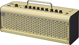 Best Guitar Amp Under 500 Dollars 31 81X6saH5cML. AC SL300