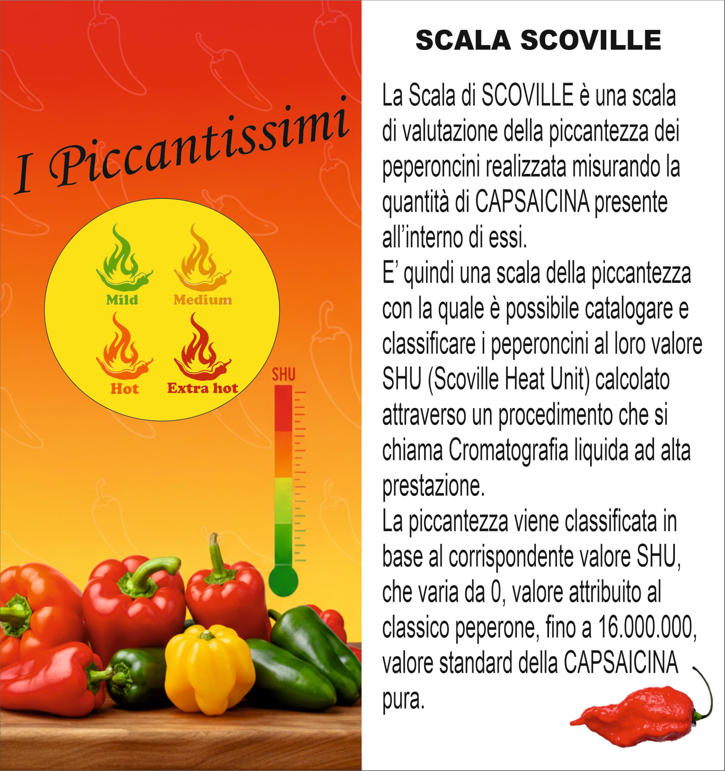 Scotch Bonnet Chile Extra Picante Hojuelas 300.000 SHU 15g