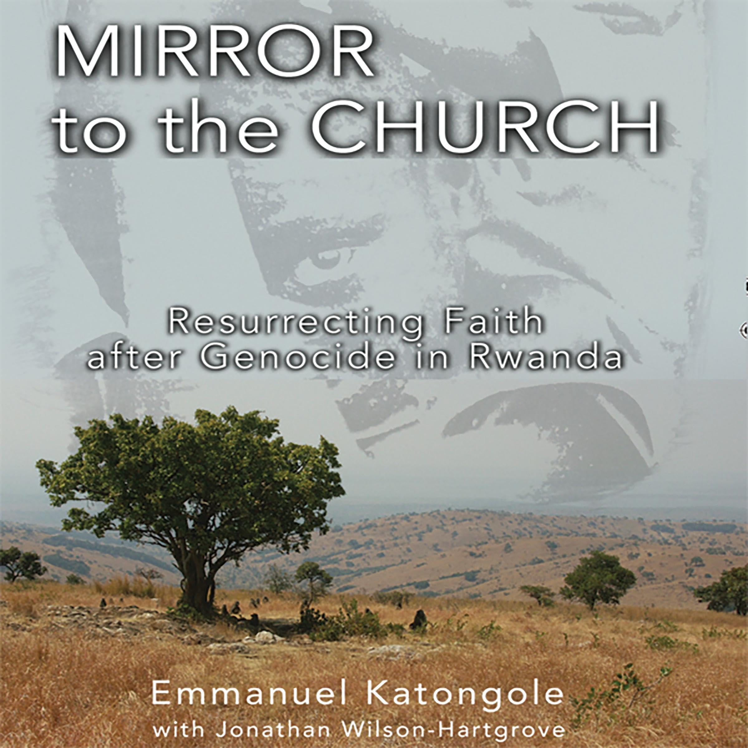 Cover art for Mirror to the Church