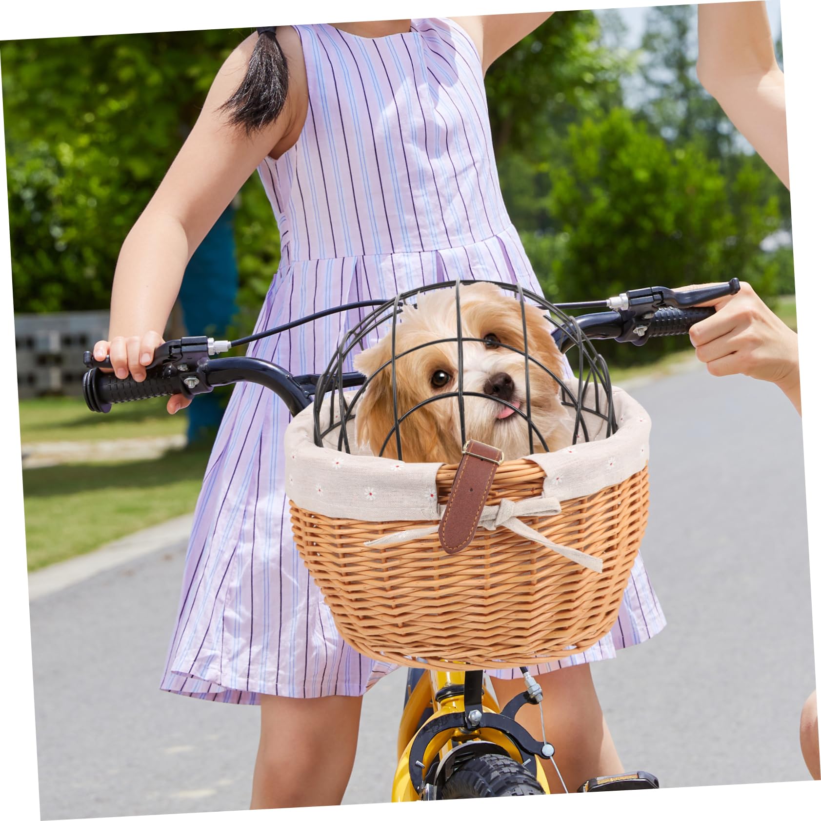 Balacoo Bike Frame Bag Pet Bicycle Basket for Small Dogs Removable Pet Carrier Quick-Release Mounting