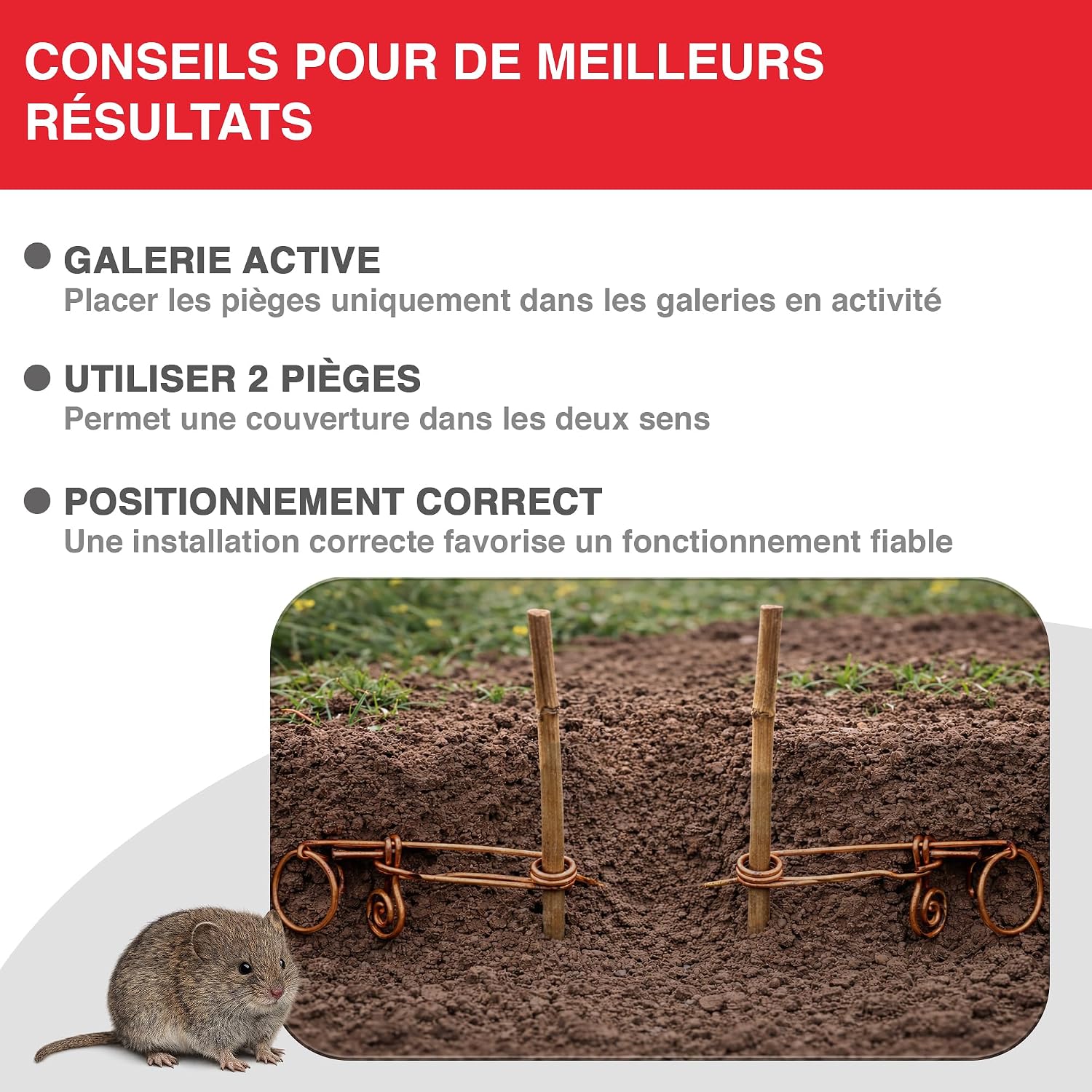SWISSINNO Piège à Campagnols – Piège Mécanique en Métal pour Galeries Souterraines – Réutilisable, Robuste et Facile à Installer – 2 Pièges — vue 5