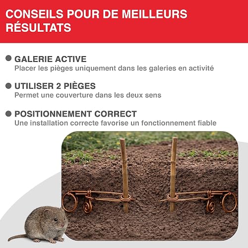 SWISSINNO Piège à Campagnols – Piège Mécanique en Métal pour Galeries Souterraines – Réutilisable, Robuste et Facile à Installer – 2 Pièges - 4