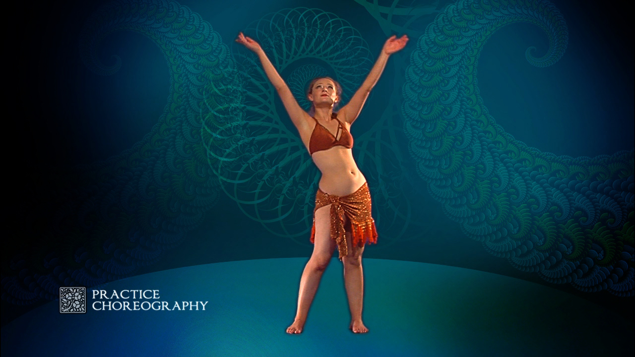Amazon.com: Bellydance: Beautiful Technique from Step One