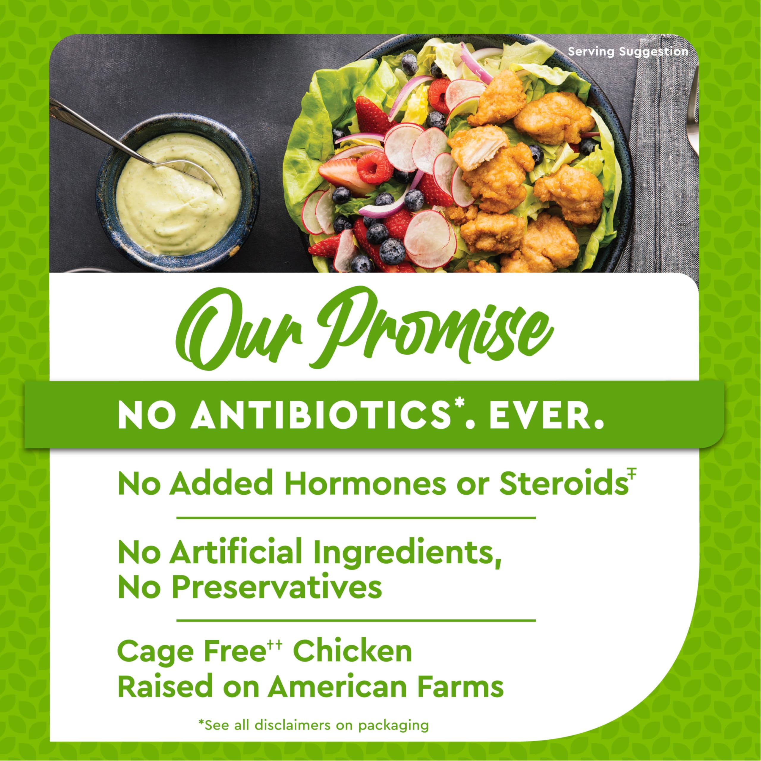 Just Bare Chicken Lightly Breaded Breast Bites Fully Cooked 16 G Protein Frozen 1 50 LB 24 Ounce — view 5