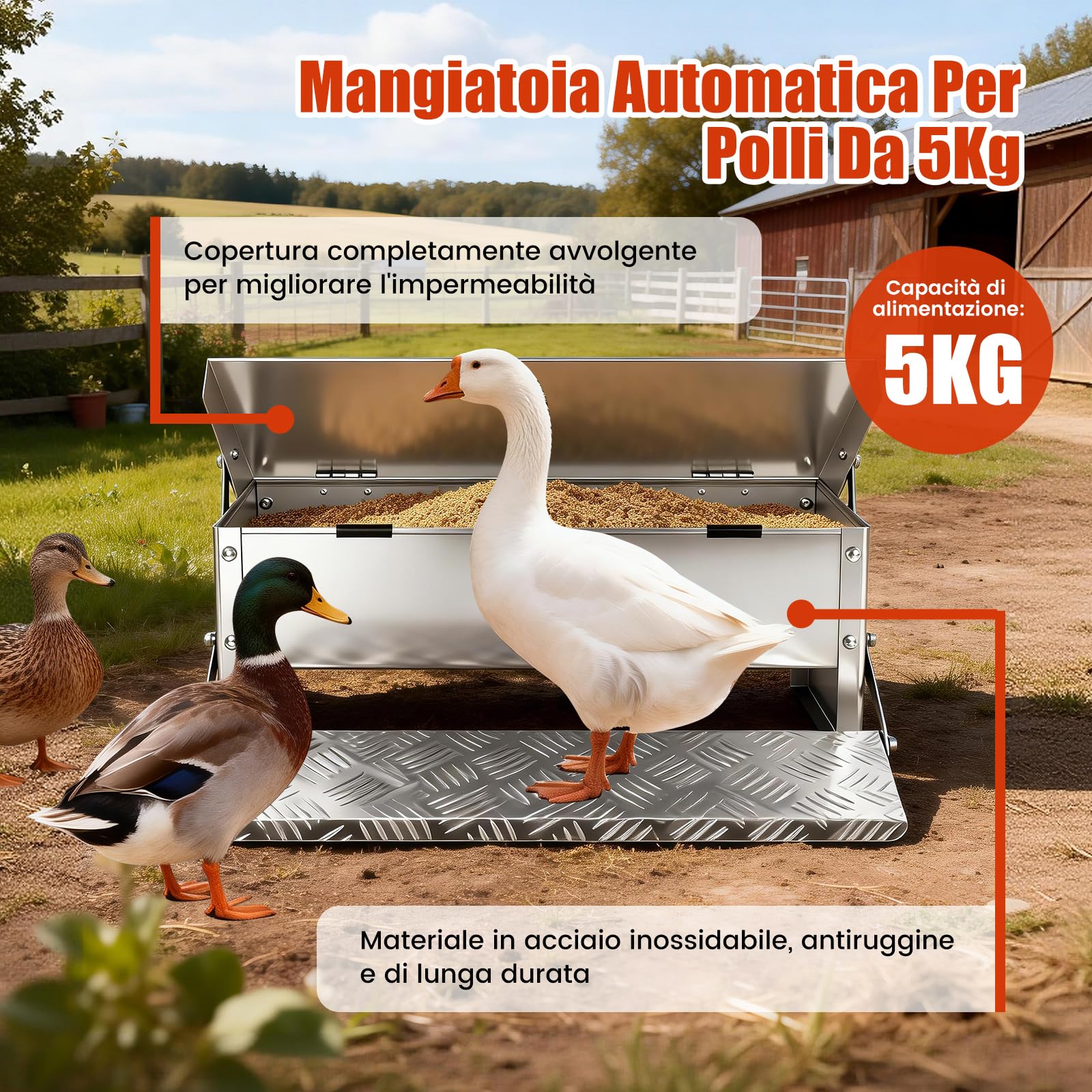 Mangiatoia per Polli a Pedale, Mangiatoia Automatica per Polli da 5 Kg, Senza Sprechi, con Coperchio Resistente Alle Intemperie per Galline e Anatre