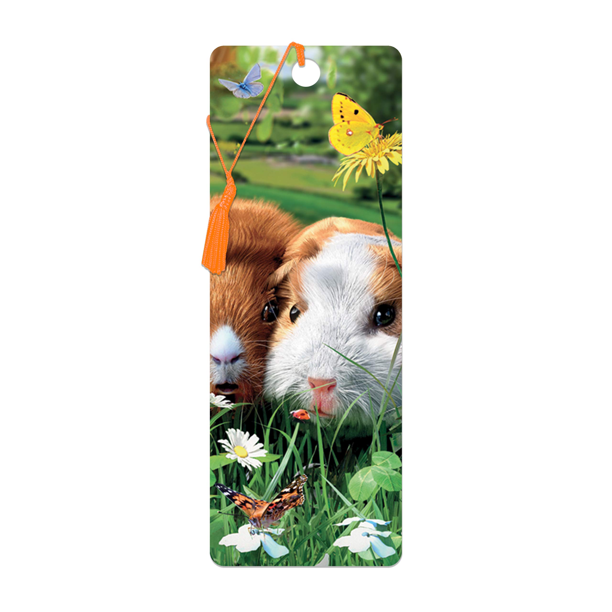 3d Livelife Bookmark Guinea Pigs From Deluxebase A Guinea Pig ...