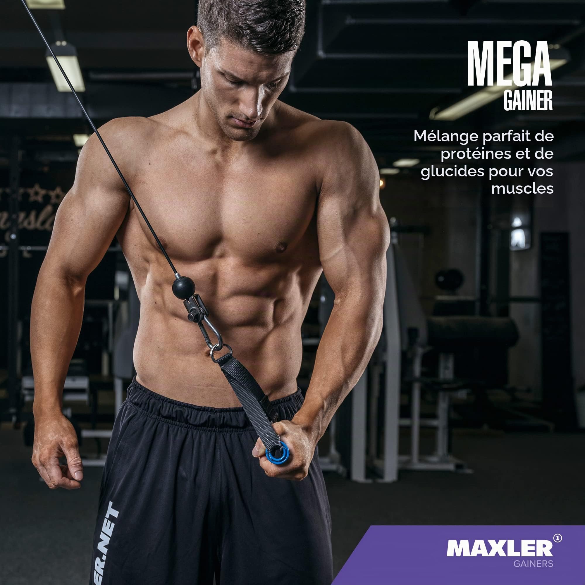Maxler Mega Gainer - Gain de poids pour développer les muscles - Vanille - 1000g - combinaison de protéines, glucides, vitamines et minéraux - 10% de protéines de lactosérum - shake riche en calories