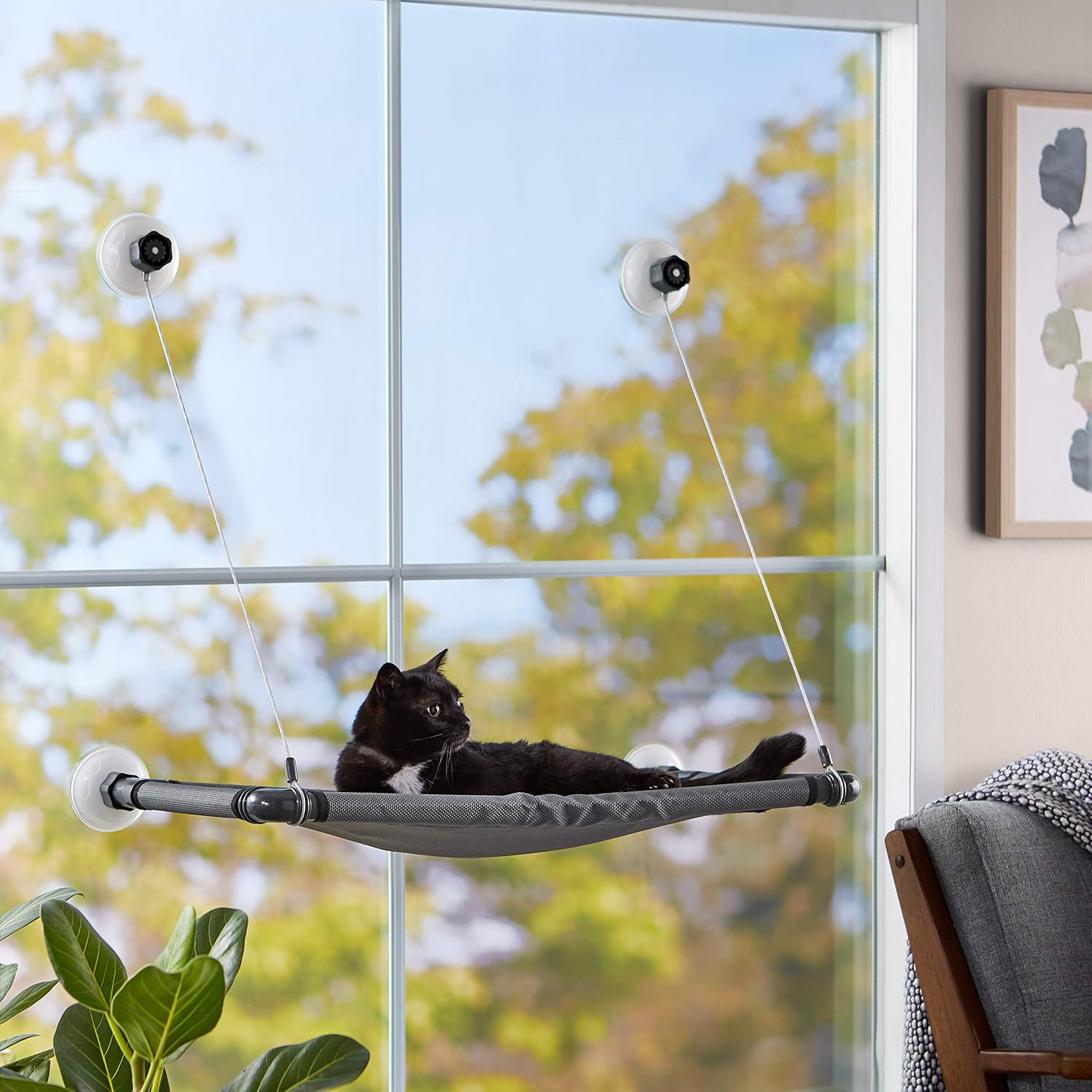 Amazon Basics Window-Mounted Cat Perch