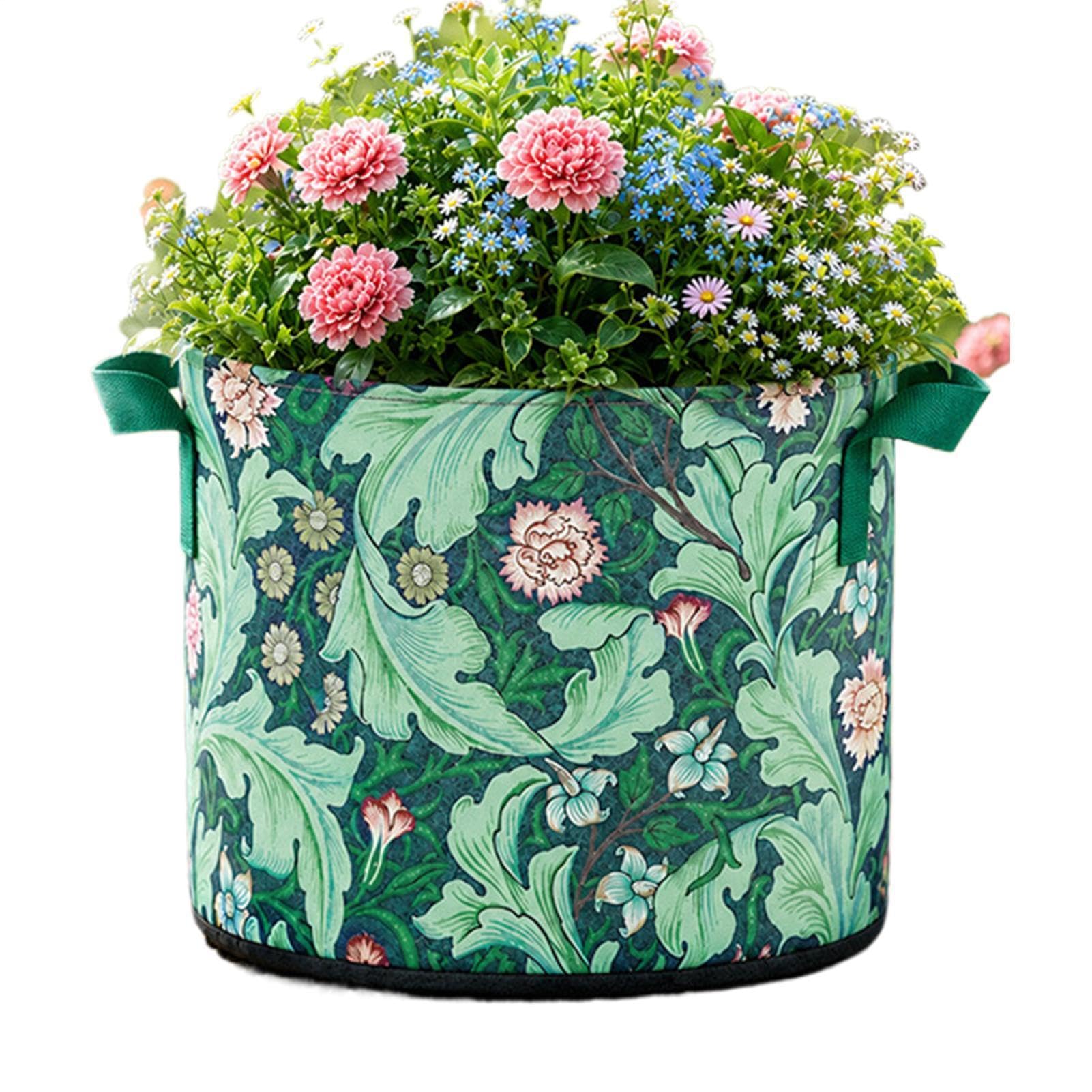Bolsas de plantas para evitar raíces podridas en cultivos de pimientos y judías