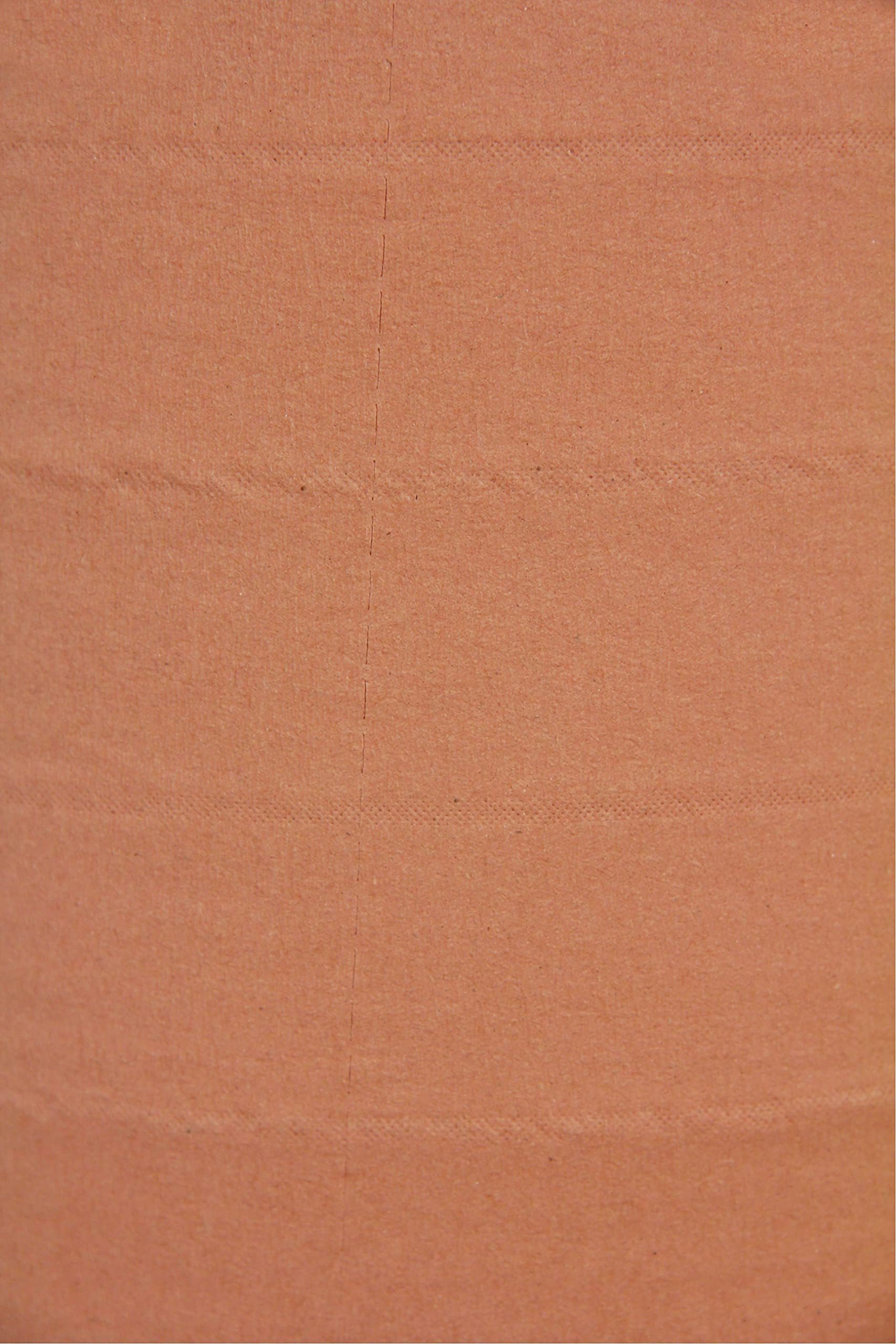 Bobina de limpieza industrial de 1000 tamaños, 2 capas, 23,5 x 30 cm, guata reciclada, juego de 2