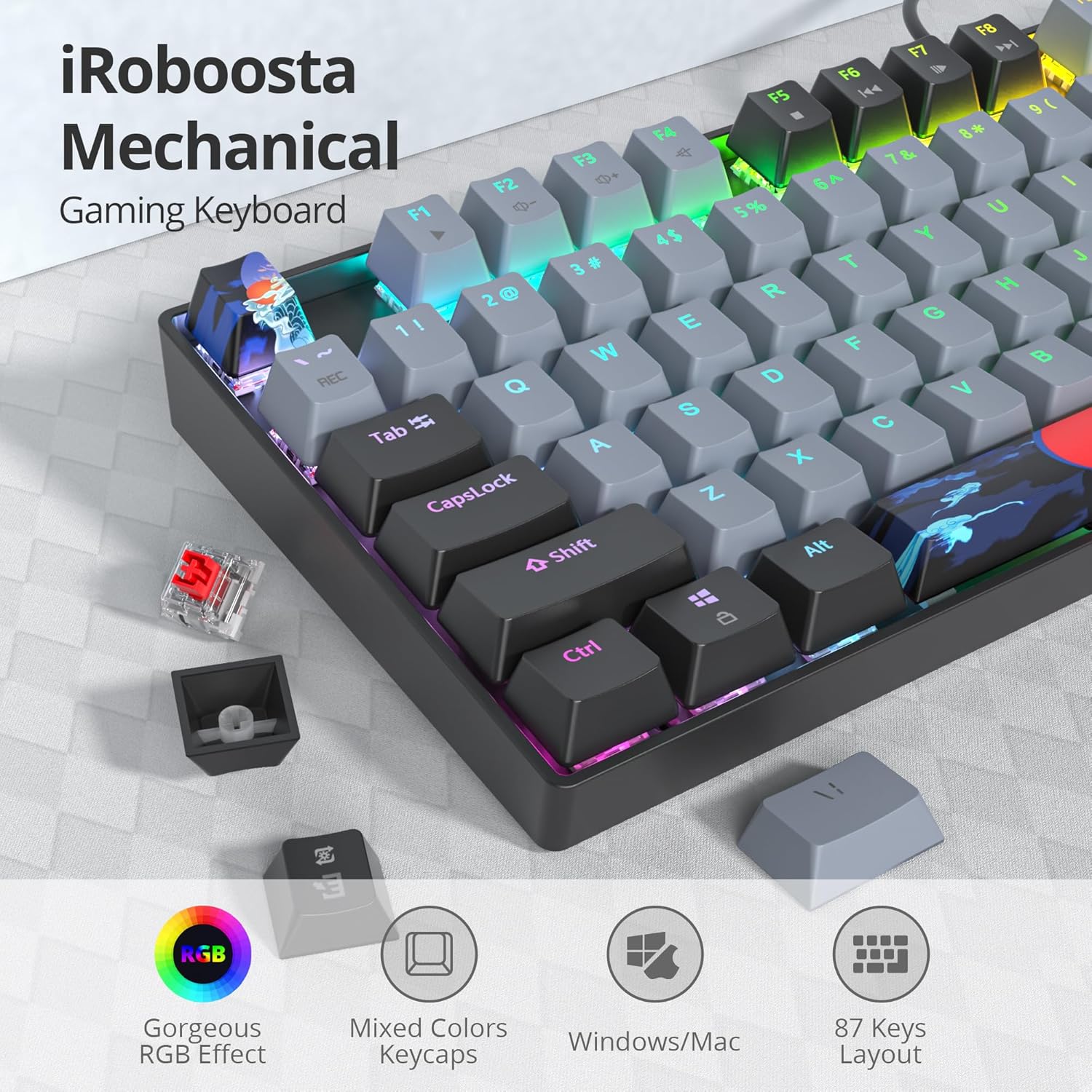 75% Mechanical Gaming Keyboard with Red Switch, RGB LED Backlit Keyboard Grey, 87 Keys Compact TKL Wired Computer Keyboard for Windows Laptop PC Gamer (87 Dolch)