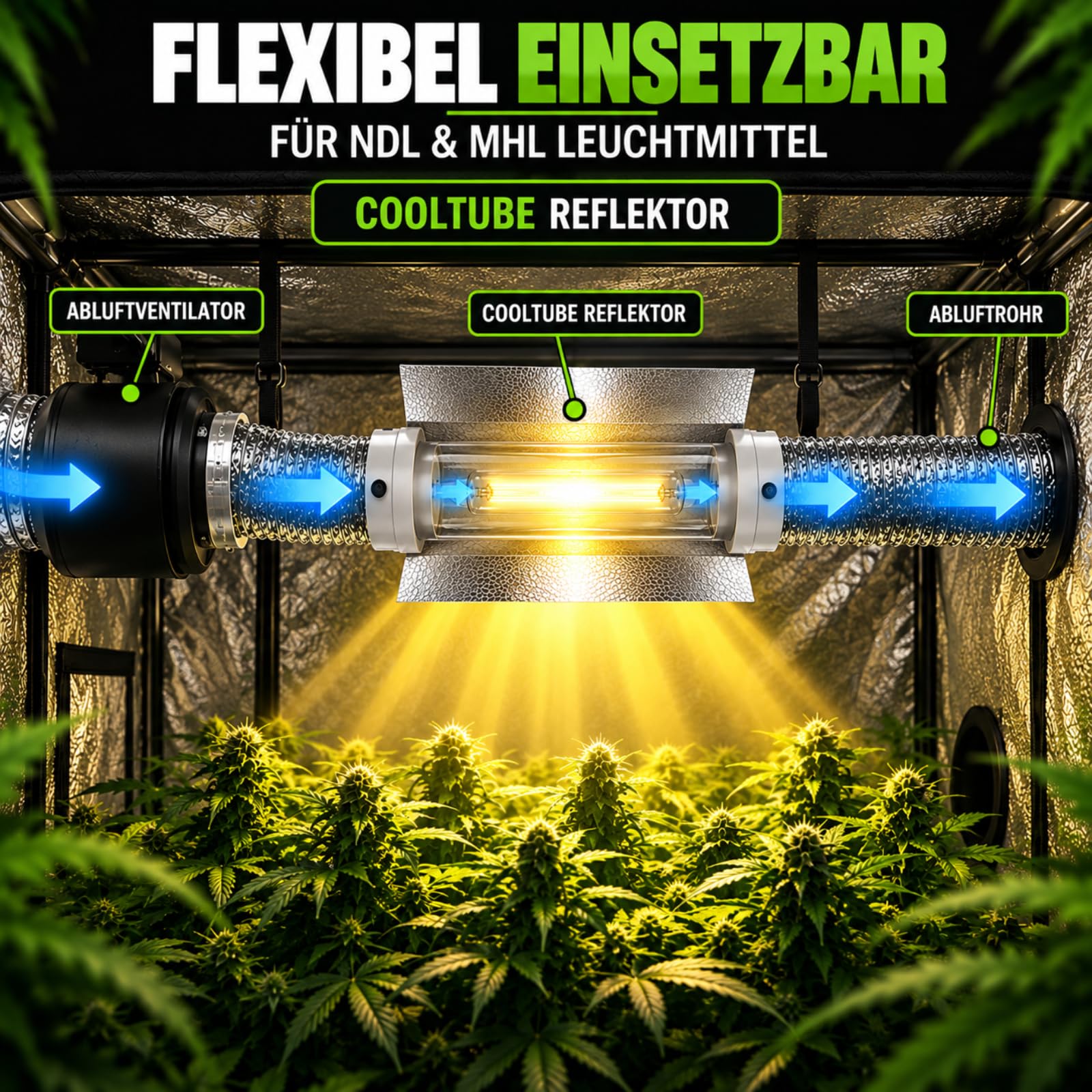 Weedness Cooltube Réflecteur Croissance 150 mm Flasque 59 cm Long - Lampe Éclairage NDL & MHL E40 Douille Lampes Verre 600w Plantes