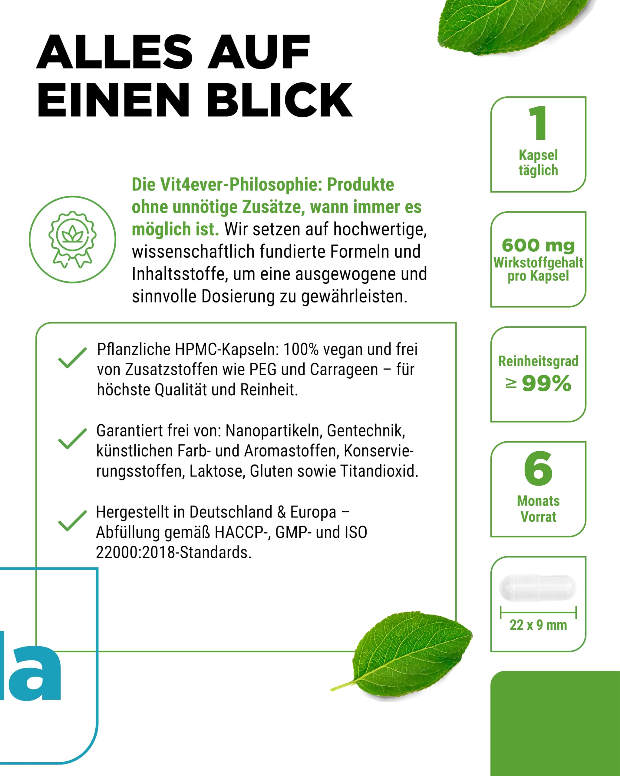 vit4ever Sodium Butyrate - 180 Kapseln - 600 mg - 90% Buttersäure | 540 mg Buttersäure pro Kapsel, reines Natriumbutyrat, hochdosiert, vegan