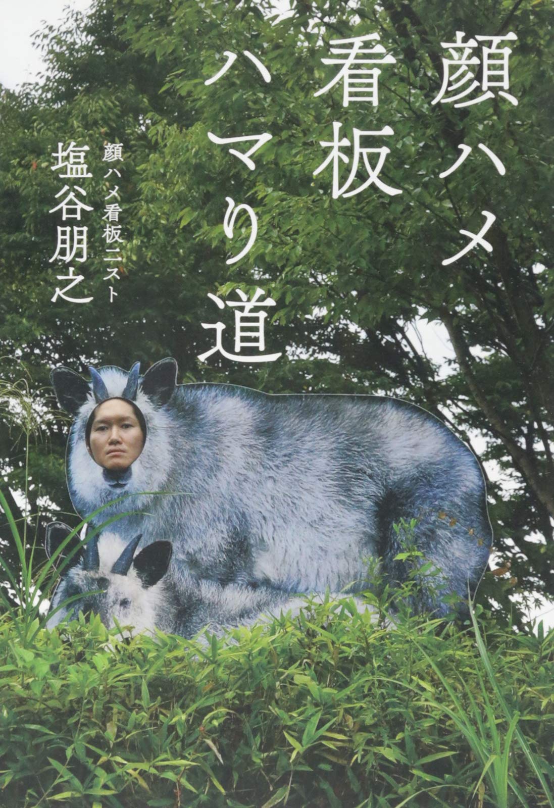 顔ハメ看板ハマリ道 塩谷 朋之 配送料無料