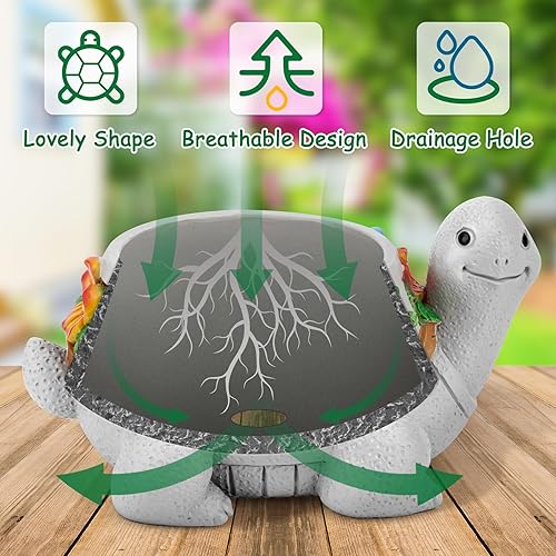 Miniatura 3 de LESES Macetas para suculentas, macetas de tortuga con orificio de drenaje, bonitas macetas para cactus, macetas suculentas para plantas de interior,