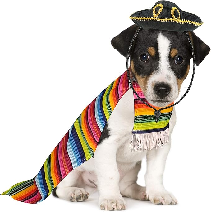 fiesta dog costume