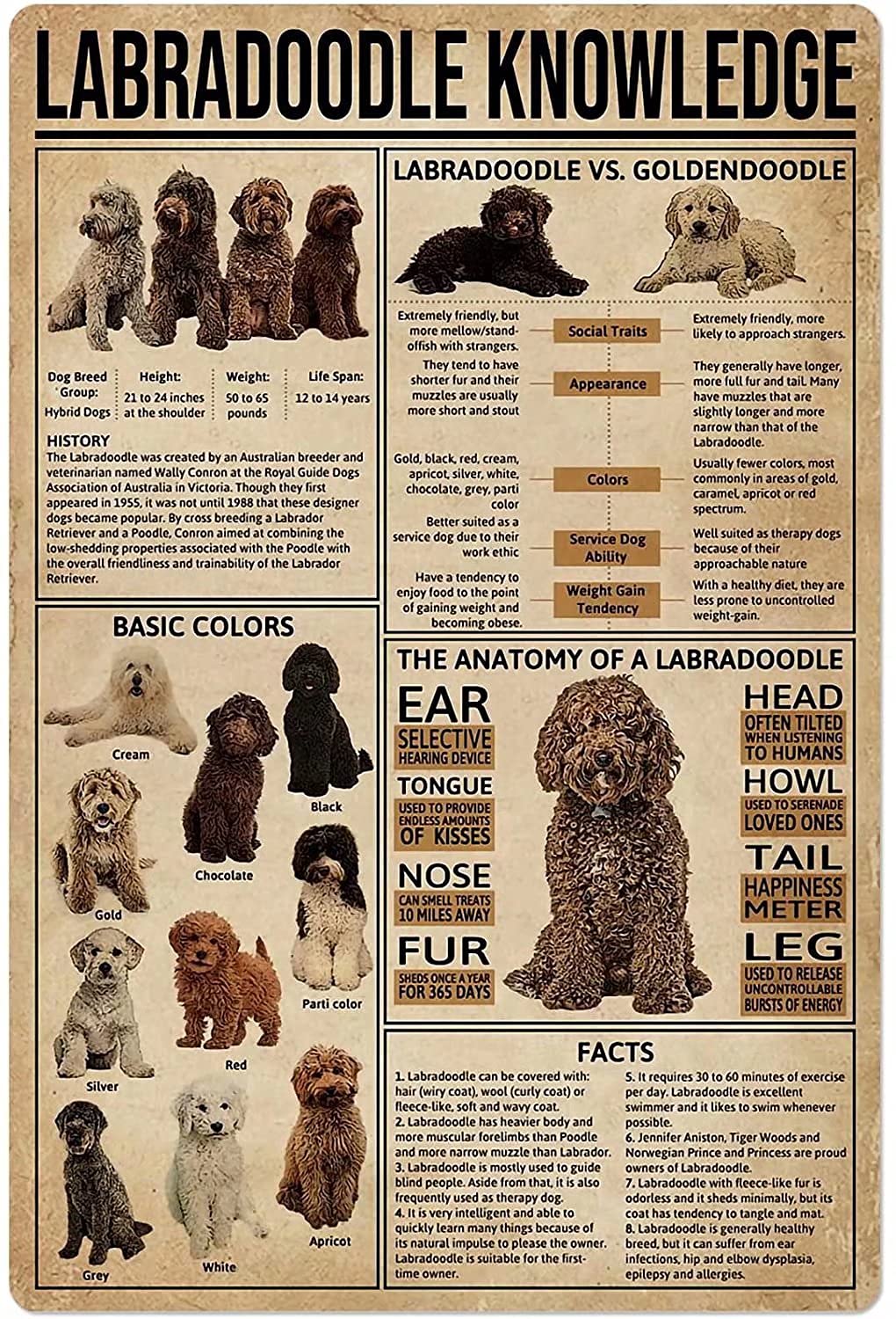 Labradoodle Knowledge Metal Tin Sign Vintage Chic Art Decoration for Home Bar Cafe Farm Store Garage or Club 8x12 Inch
