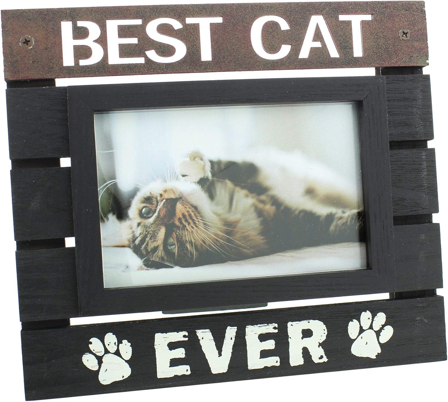 Amazon.de Best Cat Ever 4 x 6 Wooden Panel Photo Frame by Best of Breeds