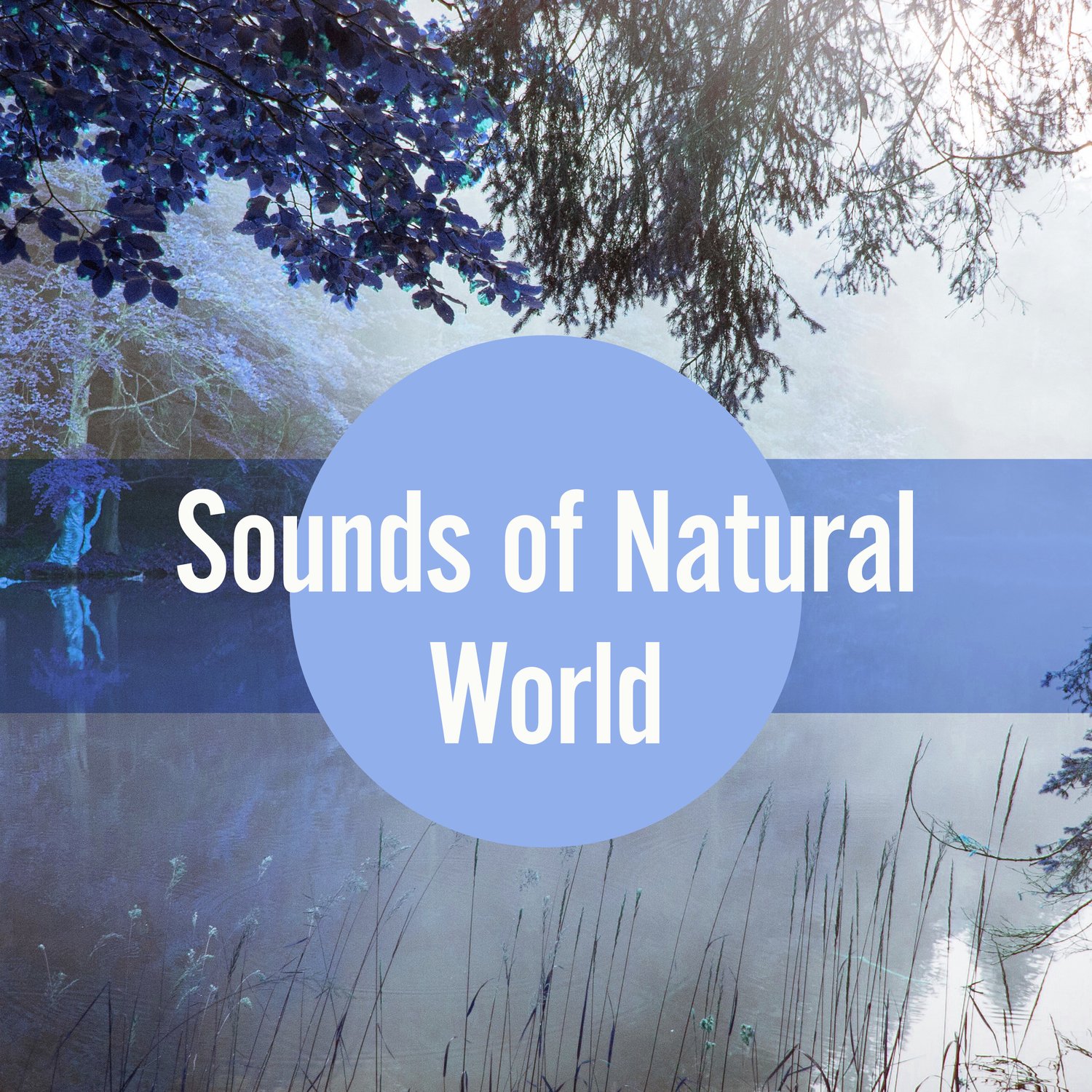 Pure Nature Sounds Specialists
