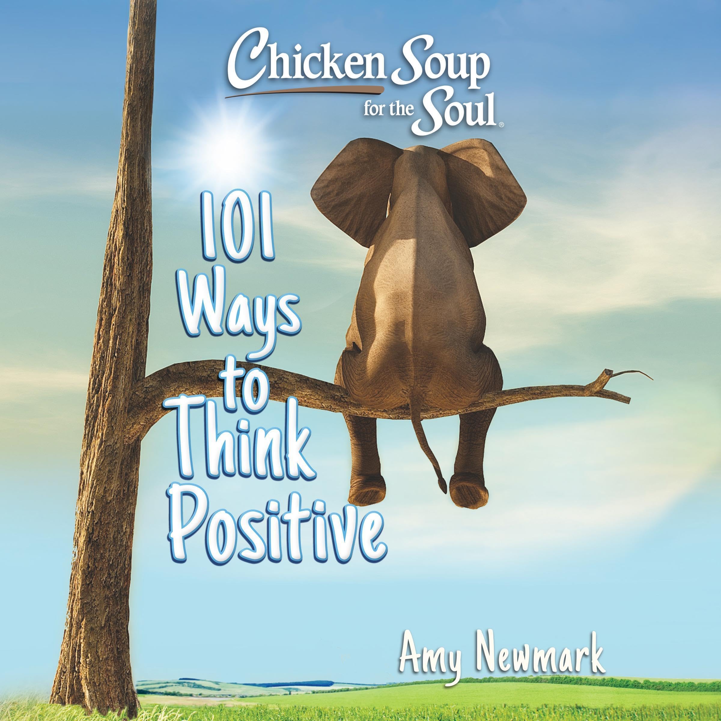 Cover art for Chicken Soup for the Soul: 101 Ways to Think Positive