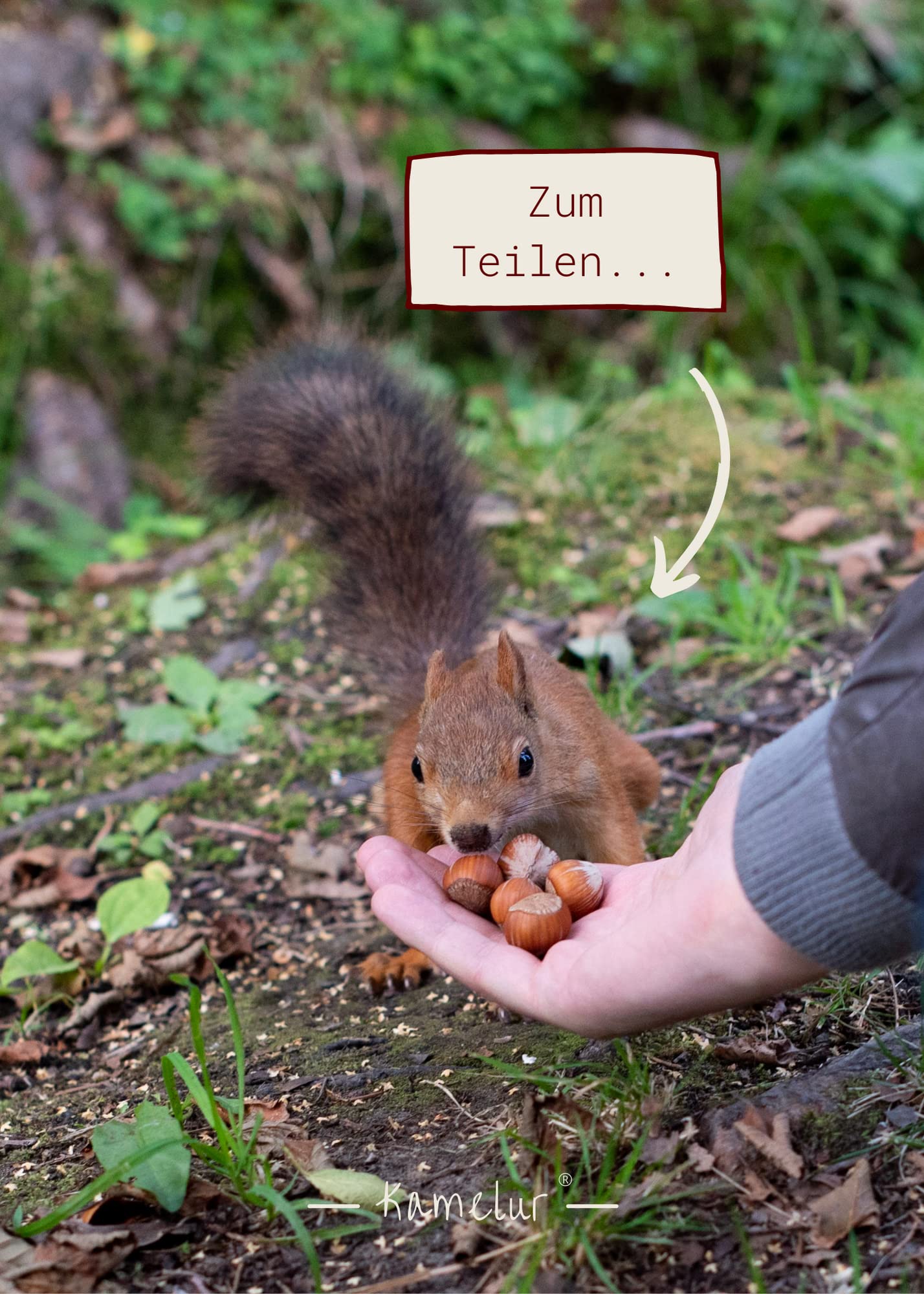 Kamelur Italienische Haselnüsse mit Schale - 2,5kg - Schmackhafte Nüsse mit Schale als Snack oder als Eichhörnchen Futter
