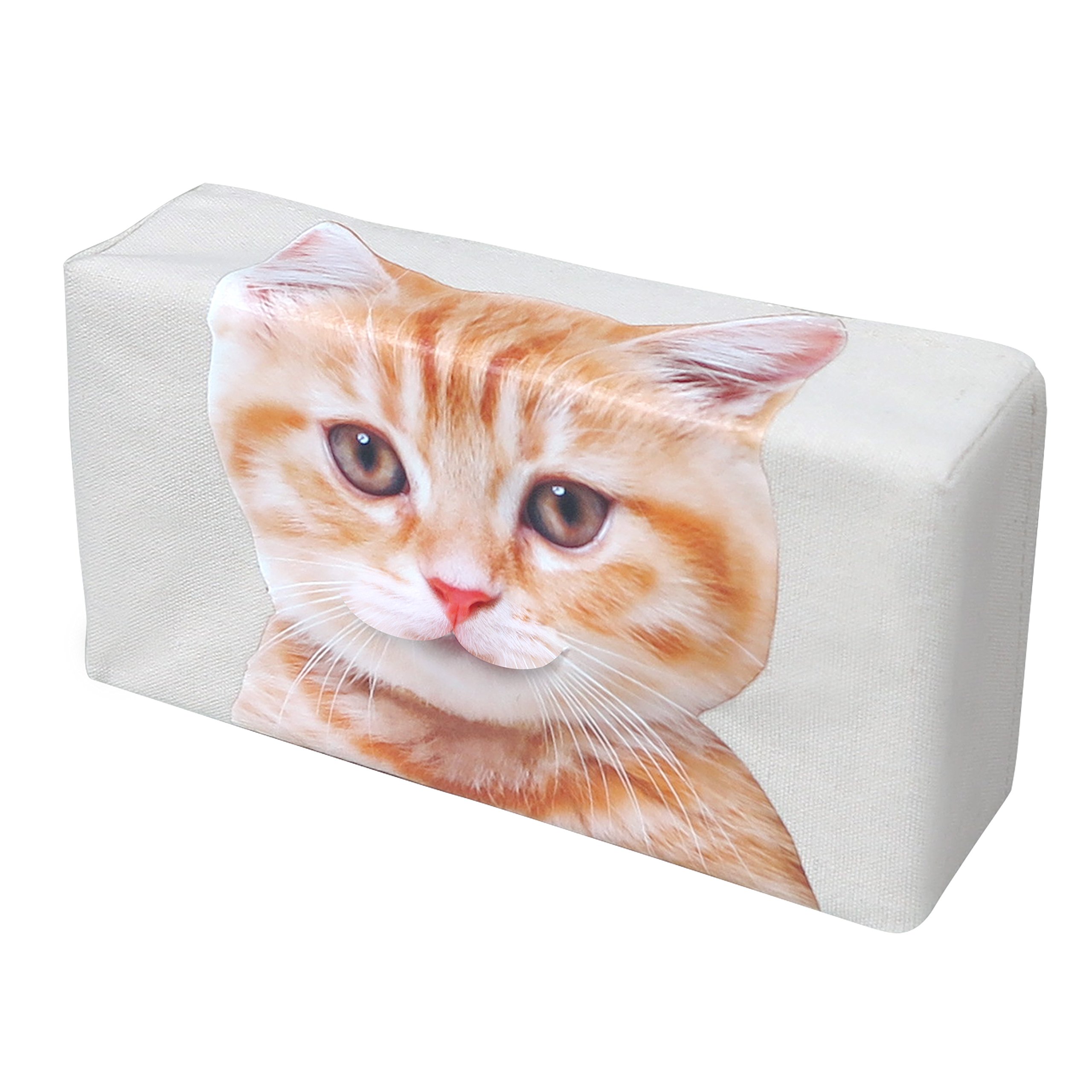 Amazon｜口からティッシュが出る! かわいい ネコ の ティッシュケース