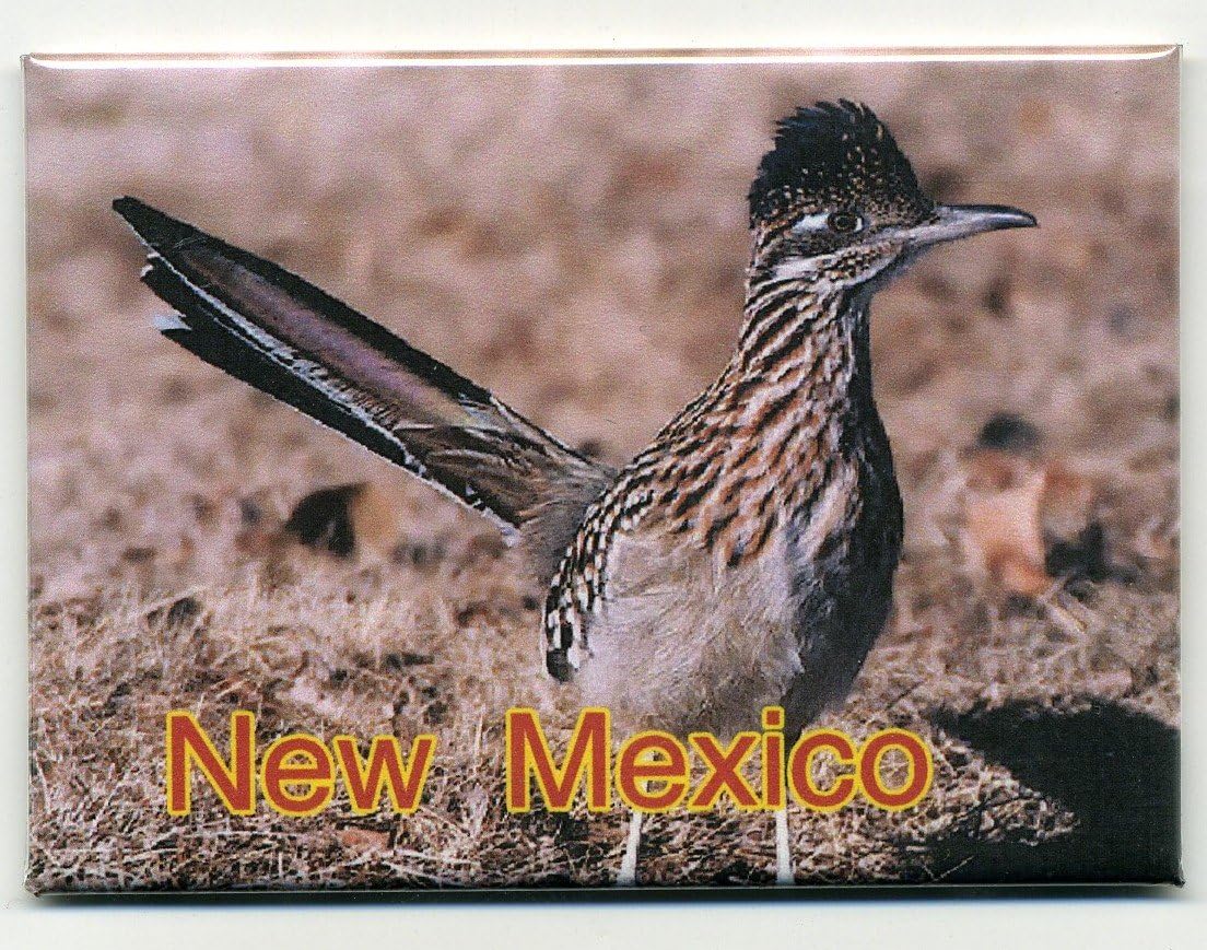 Roadrunner Refrigerator Magents - Wholesale lot 12 - Large Pillow Top