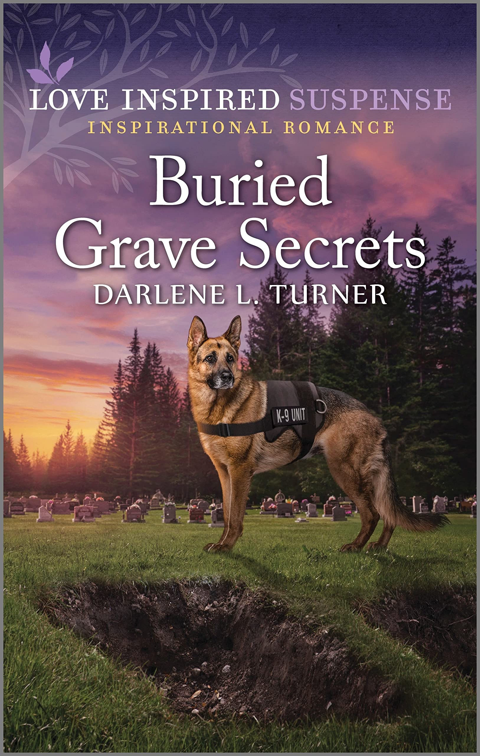 Buried Grave Secrets: A Second Chance Suspense Romance (Crisis Rescue Team Book 4)