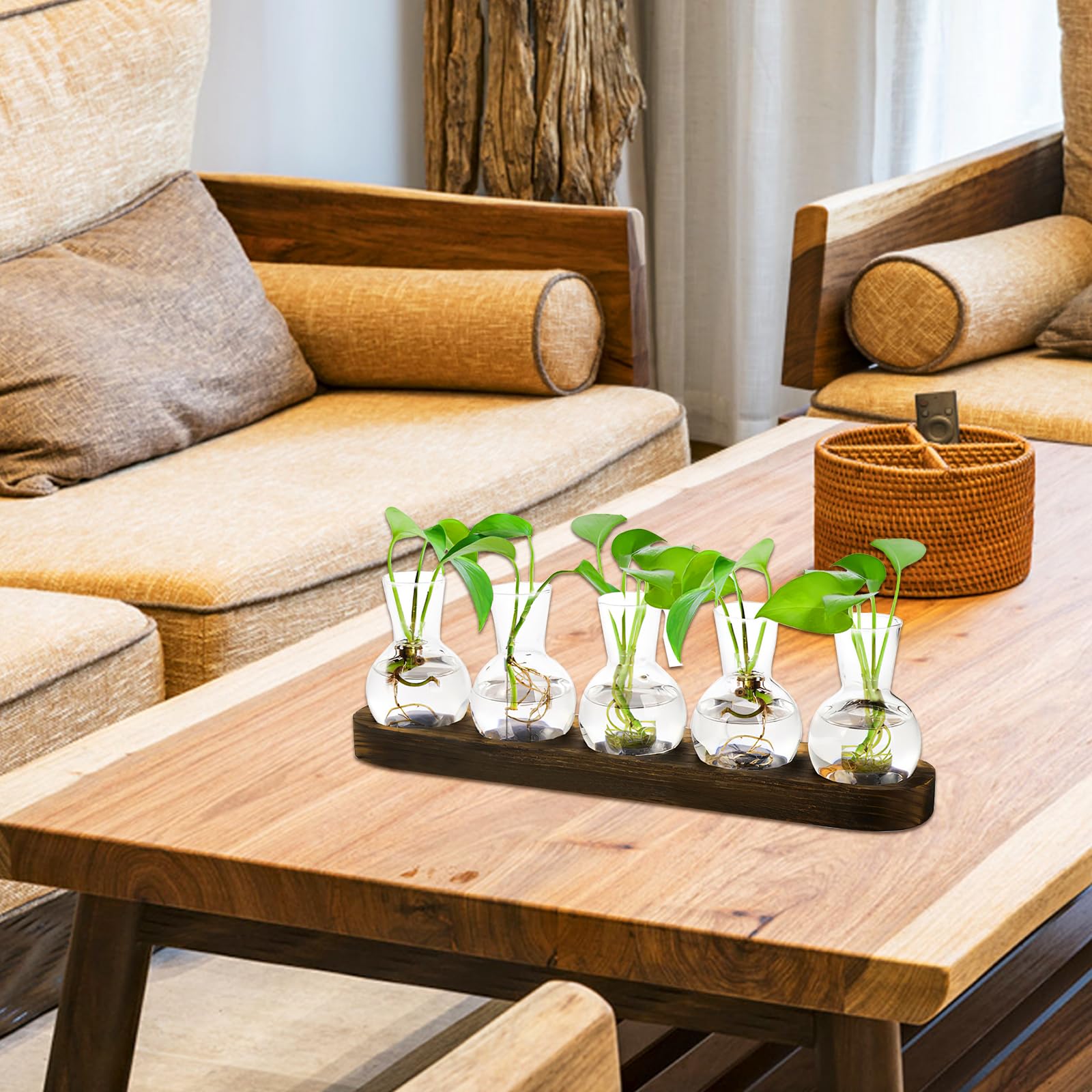 Stations de Propagation de Plantes avec Support en Bois, Lot de 5 Pots de Fleurs en Verre, Terrarium en Verre pour Plantes hydroponiques, Cadeau de Maman pour la Maison et Le Bureau