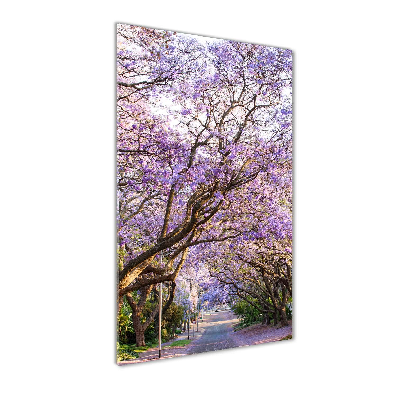 Tableau paysage violet pour salon moderne | Image sur verre acrylique Tulup 50x100 cm