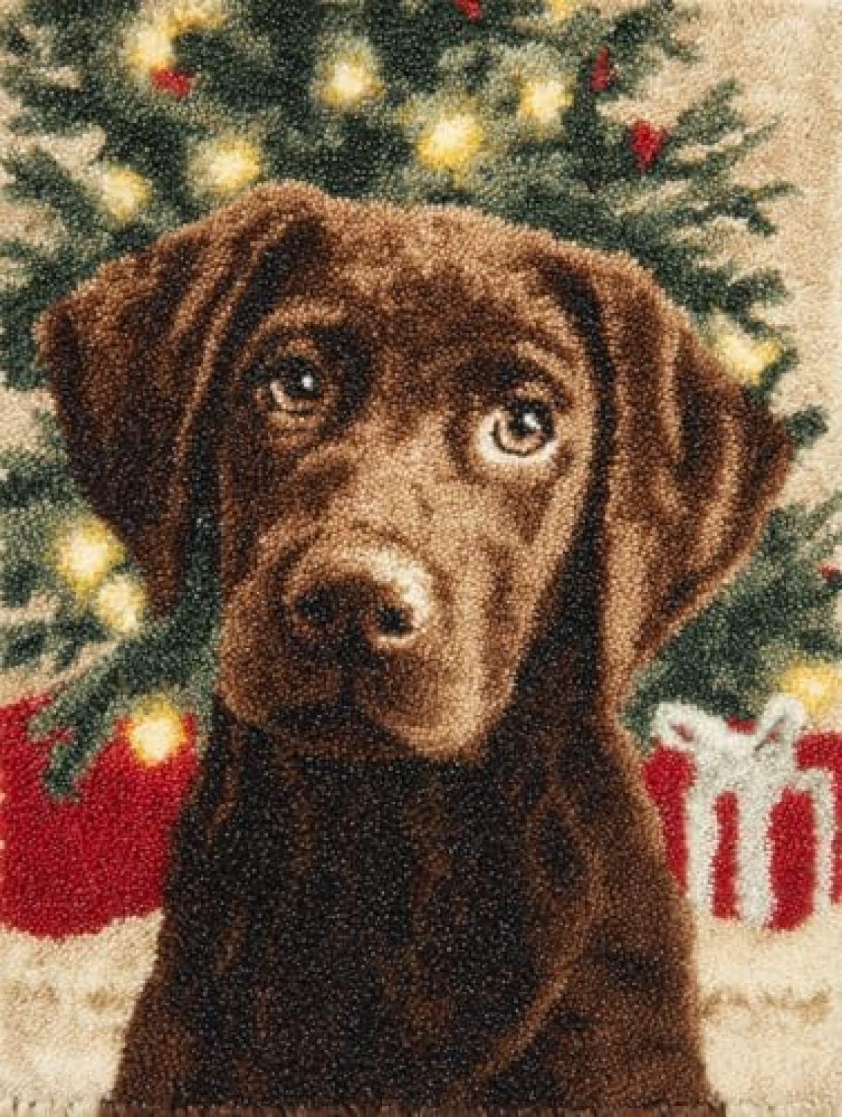XDEGHUANGSS DIY Latch Hook Rug Kit Brown Labrador Retriever and Christmas Scene Easy for Beginners Crochet Yarn Hook and Latch Tapestry Mat Cushion Craft Set for Home Decor 38x52cm-3