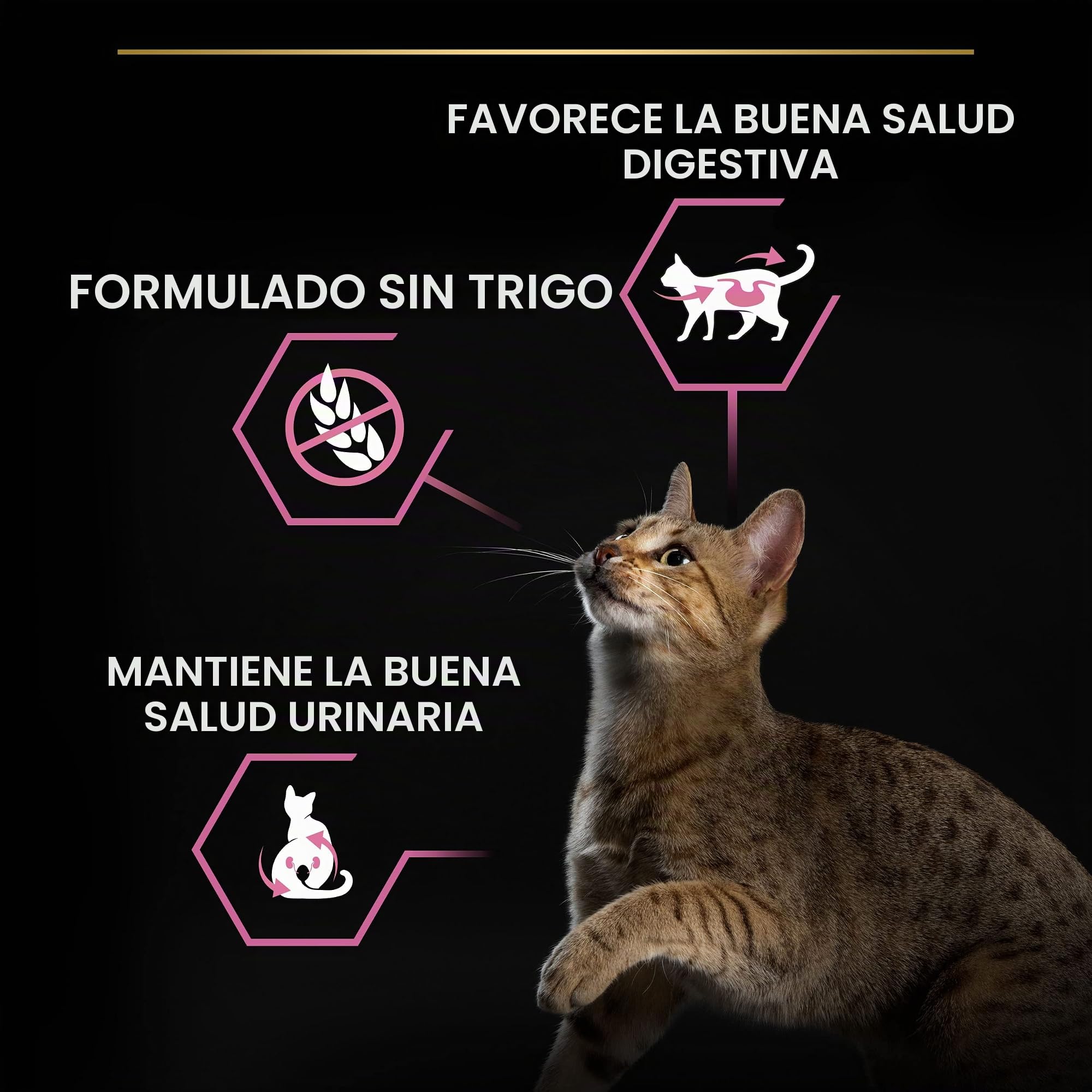 PURINA Pro Plan | Sterilised Adult 1+ Delicado Digestión | Rico en Pollo | Croquetas | Gato | Bolsa de 10 kg