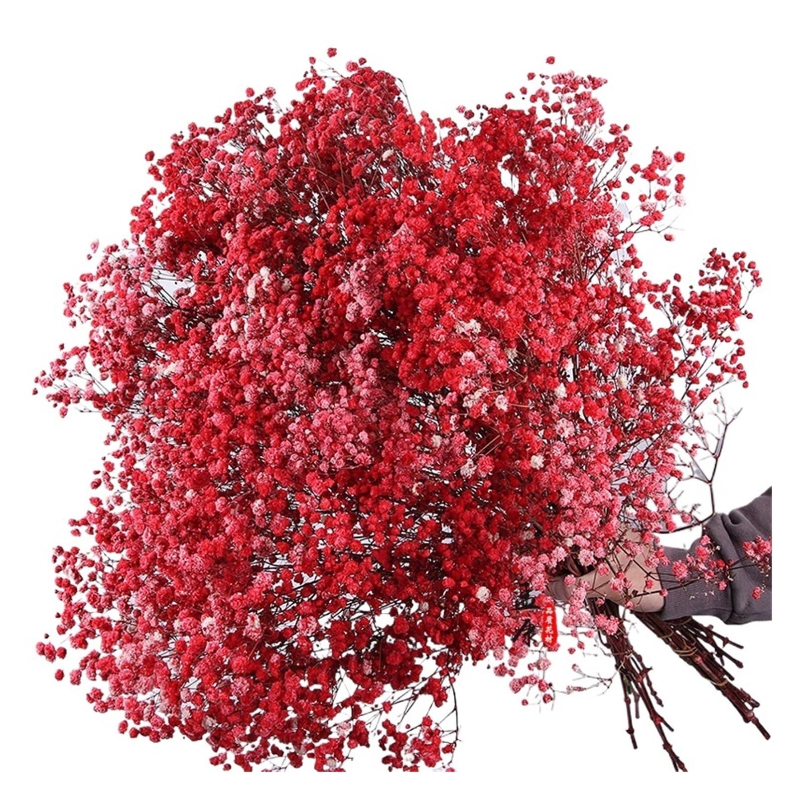 WJIAYAO dried gypsophila flowers 30-100g Dried Gypsophila Flower Baby Breath Bouquets Floral Branches for Home Decor Wedding Garland Decoratio(Color7,About 60g)
