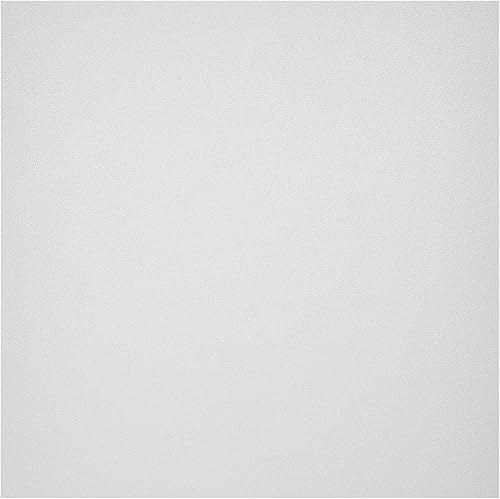 Coavas - Película de privacidad para ventana vidrio esmerilado adhesivos estáticos vinilo opaco no adhesivo calcomanías decorativas para puerta de