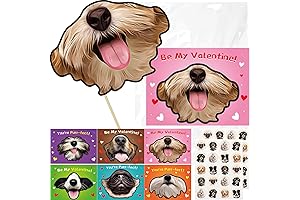 30 Valentines Day Hidden Picture Dog Face Cards with Envelopes