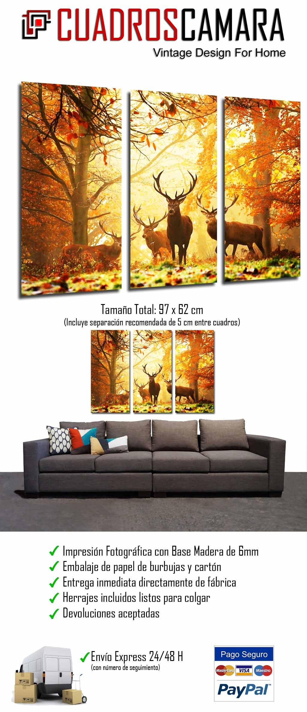 Cuadros Camara Quadro su Legno, Cervo Animale in Natura, Paesaggio Autunnale, 97 x 62cm, Stampa in qualita Fotografica. Ref. 26780