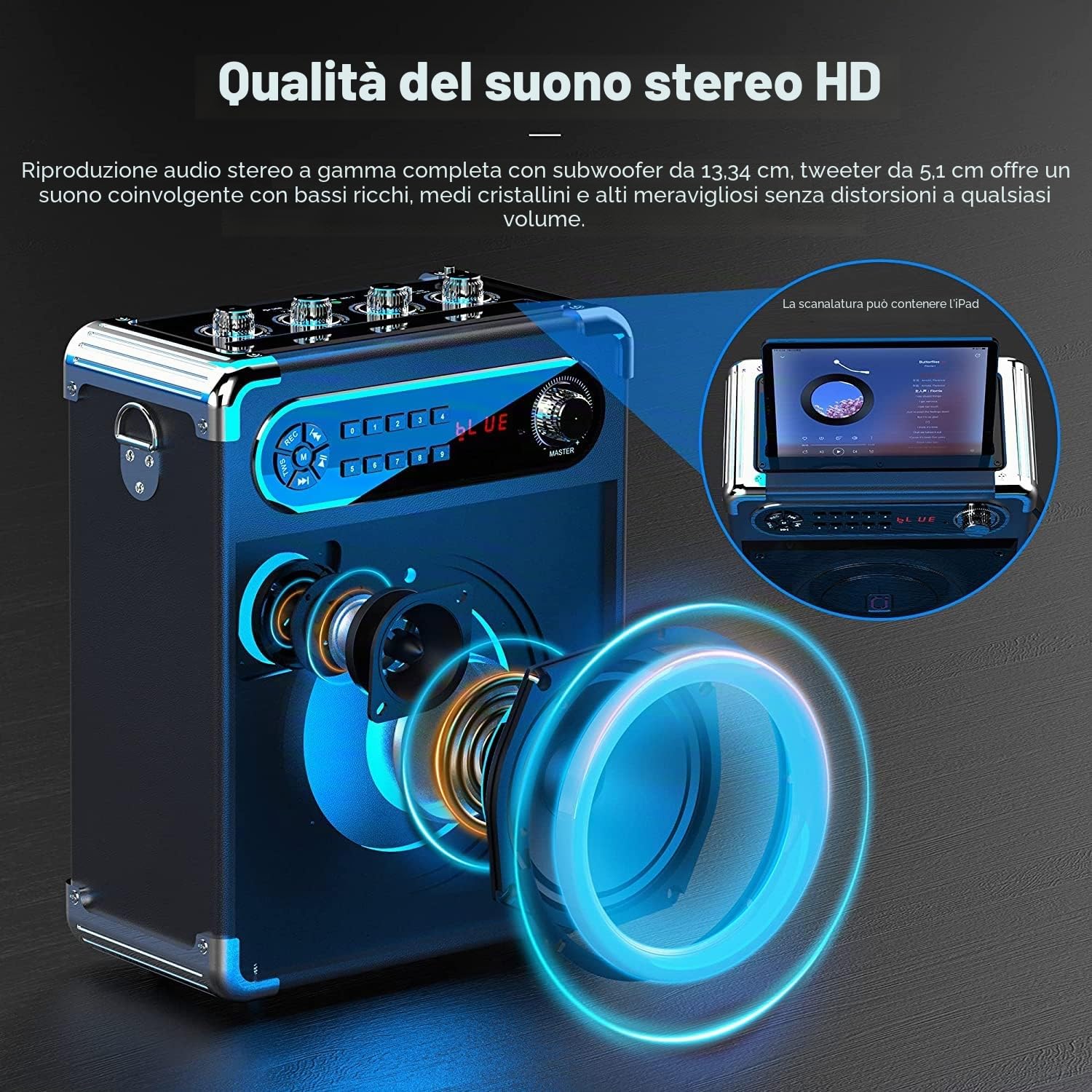 JAUYXIAN Macchina karaoke con 2 microfoni, altoparlante Bluetooth, sistema audio per feste, altoparlante portatile, scatola musicale con luci a LED, supporta scheda USB/TF/AUX/FM/Rec per feste ed