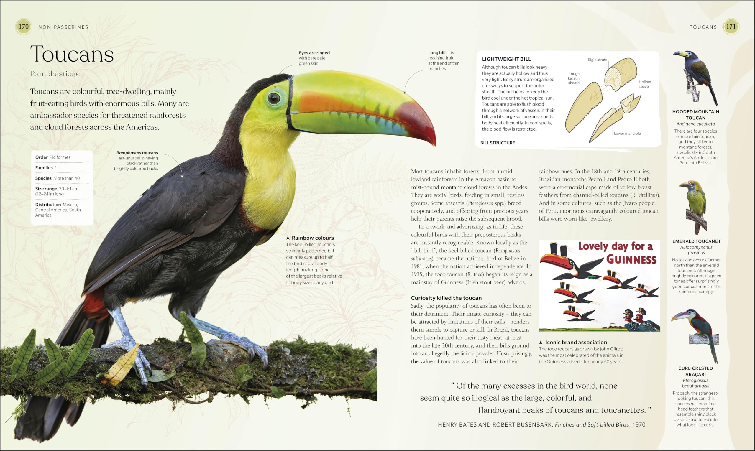 The Bird Book: The Stories, Science, and History of Birds