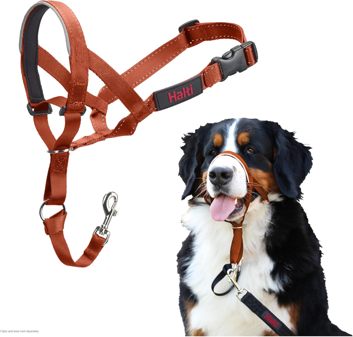 HALTI Headcollar to Stop Your Dog Pulling on The Leash