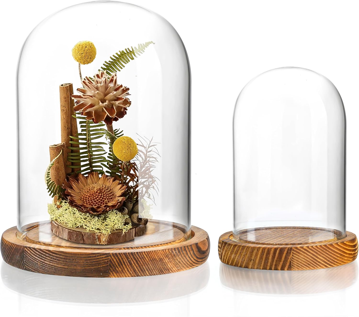 ZEERSHEE 2-Pack Glass Cloche Display Domes with Rustic Wooden Base - Dustproof Covers for Jewelry, Figurines, Plants (3.9x5.1in & 5.7x6.9in)