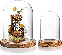 ZEERSHEE 2-Pack Glass Cloche Display Domes with Rustic Wooden Base - Dustproof Covers for Jewelry, Figurines, Plants (3.9x5.1in & 5.7x6.9in)