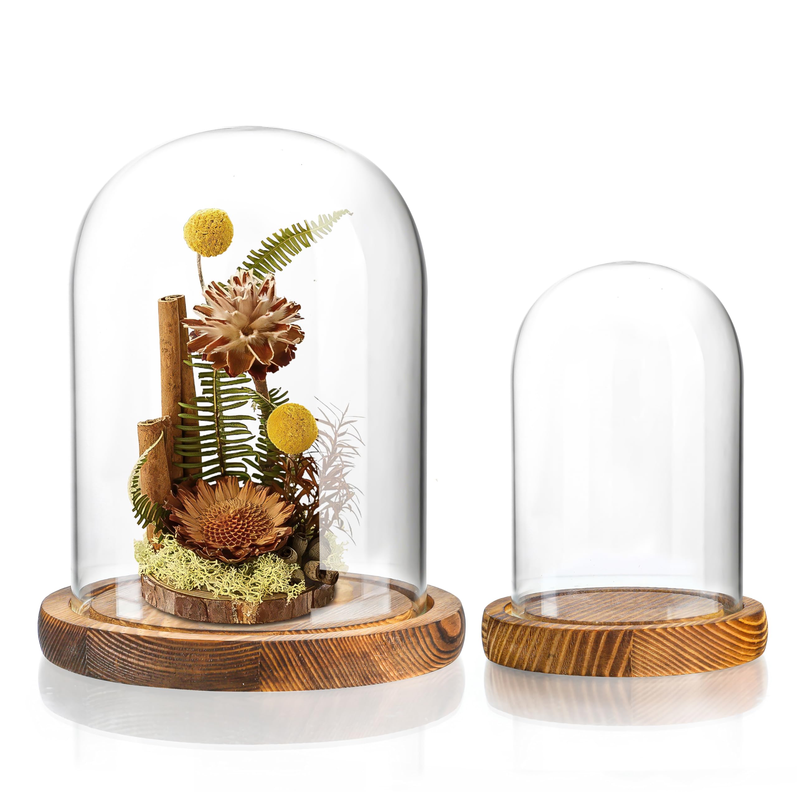 Dômes en verre transparent et bois de qualité supérieure ZEERSHEE