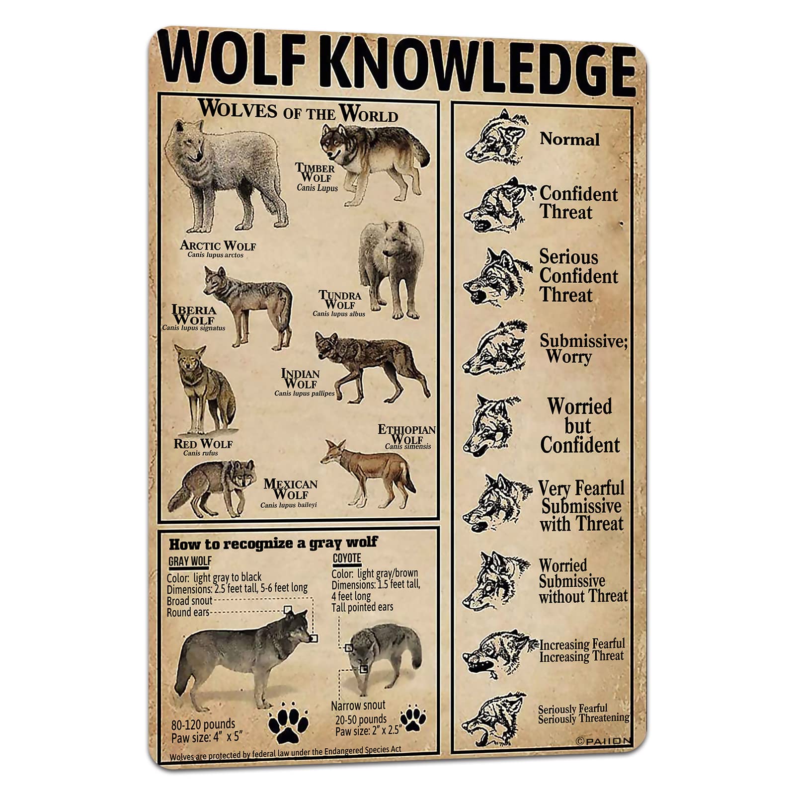 PAIION Metal Tin Sign Wolf Knowledge Retro Tin Poster for Infographic Wall Decoration of Bar Cafe Club School 8x12 Inch