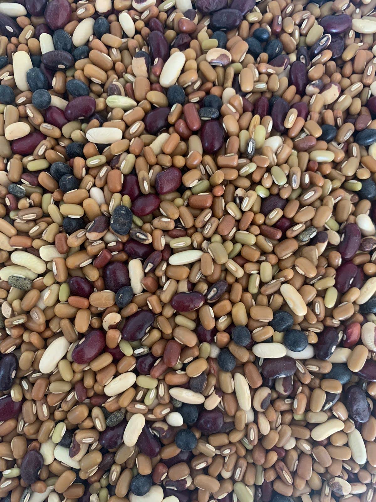 See full amazon price history chart for IJJAMoti Mix Dal Pahadi 1Kg Natural And Unpolished Harvested&Sourced From Hills Of Uttarakhand IJJAMoti Mix Dal Pahadi 1Kg Natural And Unpolished Harvested&Sourced From Hills Of Uttarakhand (B0BMQG9C68) Amazon Price History, Amazon Price Tracker