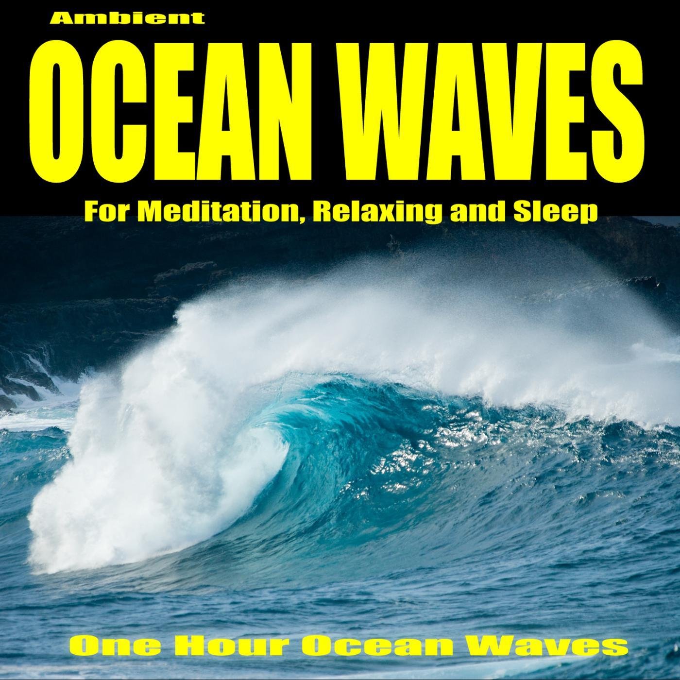 One Hour Ocean Waves